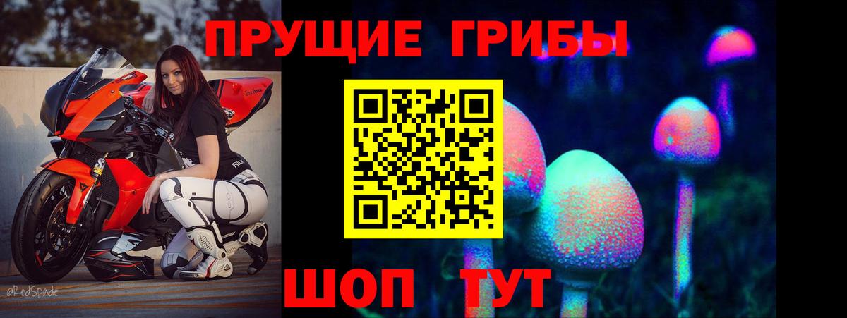 Псилоцибиновые грибы ЛСД  Вход с VPN  где найти   Дивногорск 